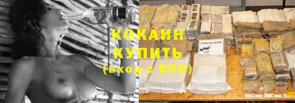 соль ск Богородицк