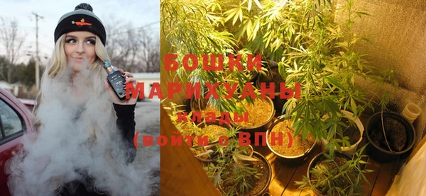 PSILOCYBIN Богородск