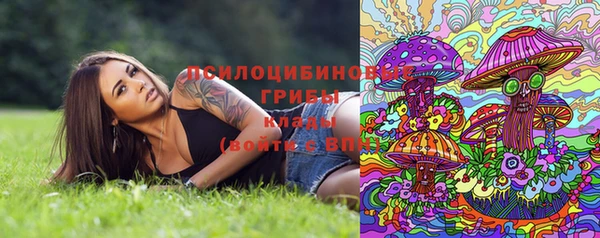 PSILOCYBIN Богородск