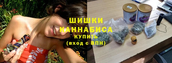 PSILOCYBIN Богородск
