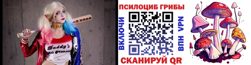 купить  цена  Яровое  Галлюциногенные грибы Cubensis 