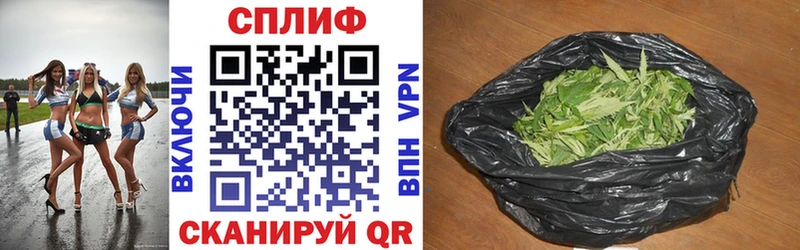 МАРИХУАНА гибрид  Яровое 